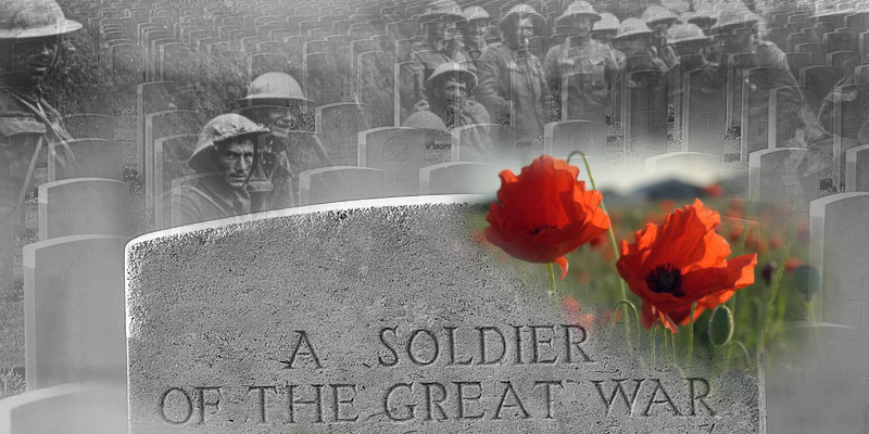 Lest We Forget - In Flanders Field, Poppy Day